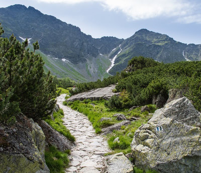 Photo of a path leading up a mountain